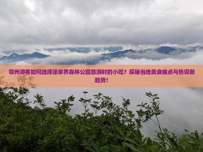 鄂州游客如何选择张家界森林公园旅游时的小吃？探秘当地美食痛点与热词新趋势！