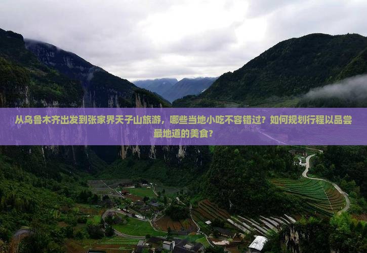 从乌鲁木齐出发到张家界天子山旅游，哪些当地小吃不容错过？如何规划行程以品尝最地道的美食？