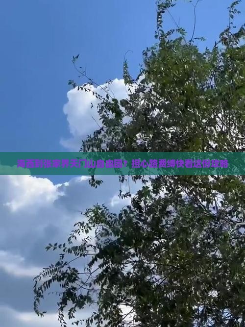 海西到张家界天门山自由团？担心路费缚快看这份攻略