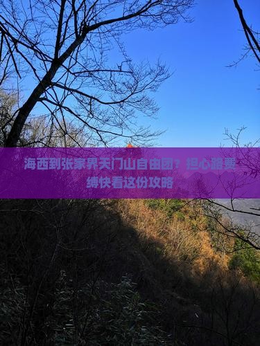 海西到张家界天门山自由团？担心路费缚快看这份攻略