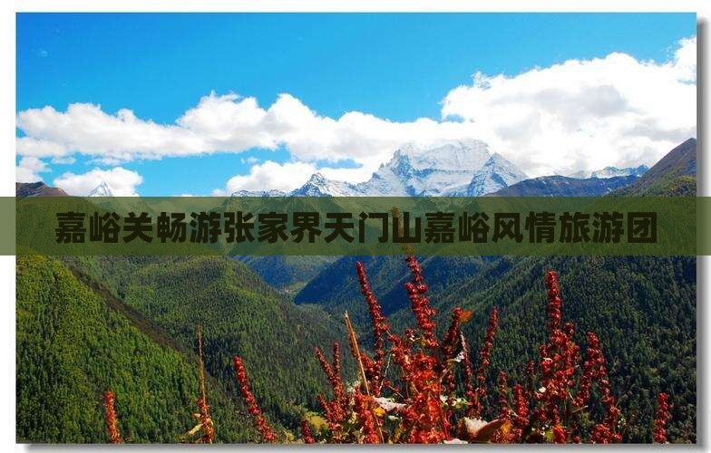 嘉峪关畅游张家界天门山嘉峪风情旅游团