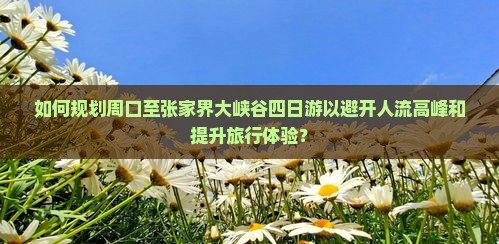 如何规划周口至张家界大峡谷四日游以避开人流高峰和提升旅行体验？