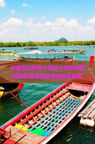 鸡西去张家界大峡谷大型旅游团招募探险爱好者探秘自然奇观