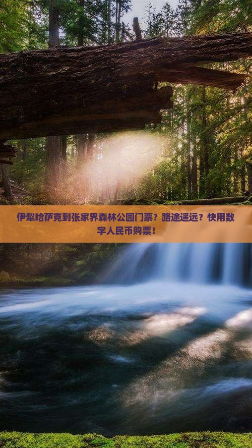 伊犁哈萨克到张家界森林公园门票？路途遥远？快用数字人民币购票！