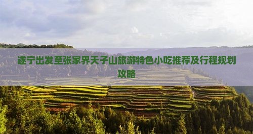 遂宁出发至张家界天子山旅游特色小吃推荐及行程规划攻略