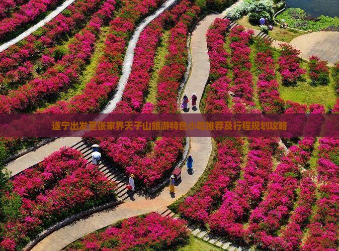 遂宁出发至张家界天子山旅游特色小吃推荐及行程规划攻略