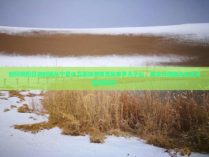 如何用四日游时间从宁夏中卫高效游览至张家界天子山，解决行程痛点实现深度游体验？