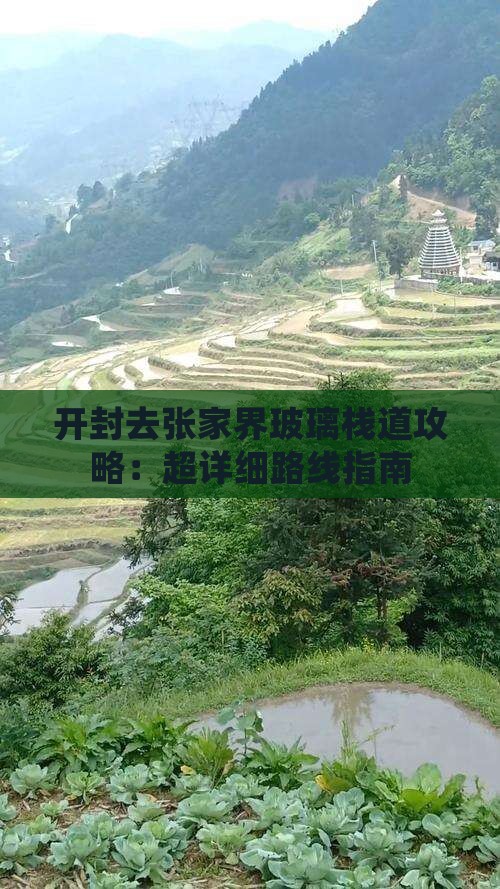 开封去张家界玻璃栈道攻略：超详细路线指南