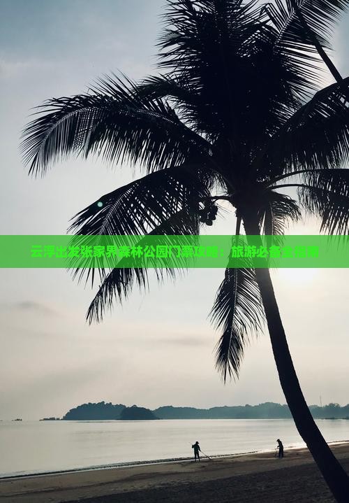 云浮出发张家界森林公园门票攻略：旅游必备全指南