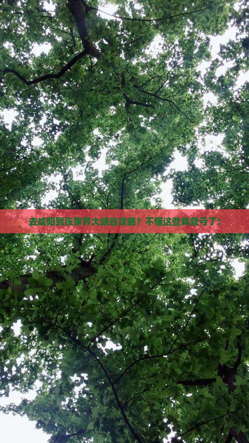 去咸阳到张家界大峡谷攻略？不懂这些真就亏了！