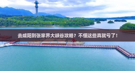 去咸阳到张家界大峡谷攻略？不懂这些真就亏了！