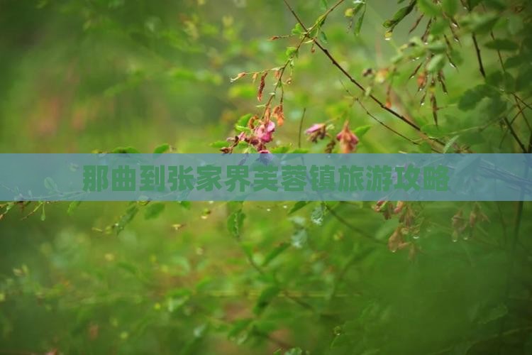 那曲到张家界芙蓉镇旅游攻略