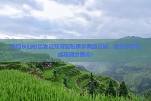 如何从仙桃出发高效游览张家界凤凰古城，避开旅游高峰和拥堵痛点？