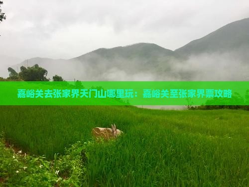 嘉峪关去张家界天门山哪里玩：嘉峪关至张家界票攻略