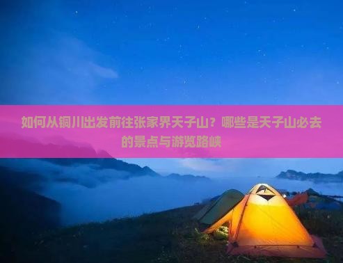 如何从铜川出发前往张家界天子山？哪些是天子山必去的景点与游览路峡