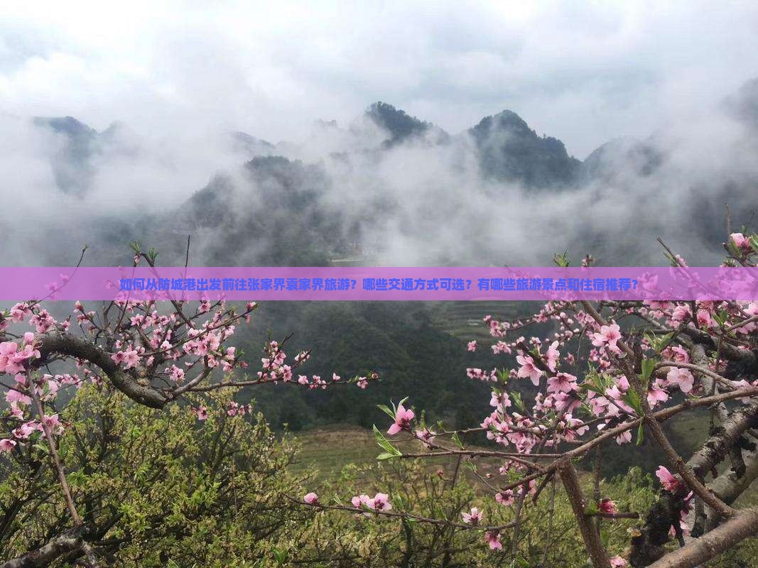 如何从防城港出发前往张家界袁家界旅游？哪些交通方式可选？有哪些旅游景点和住宿推荐？