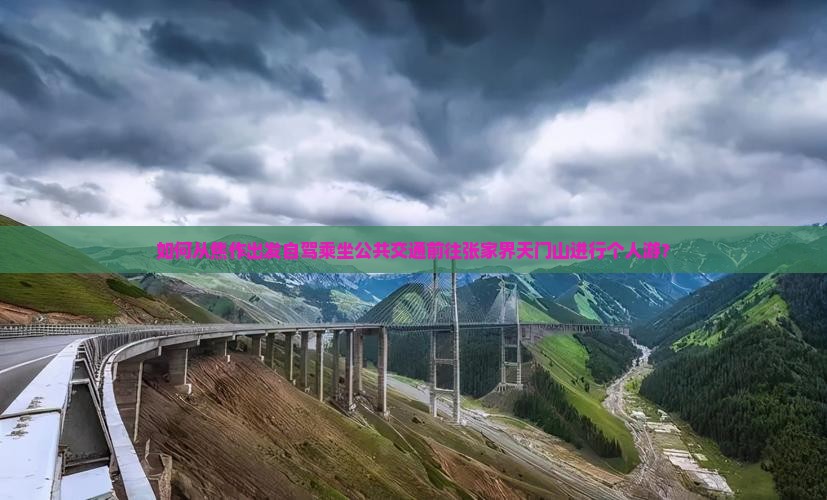 如何从焦作出发自驾乘坐公共交通前往张家界天门山进行个人游？