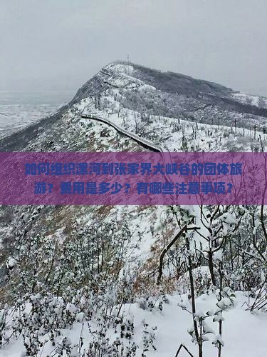 如何组织漯河到张家界大峡谷的团体旅游？费用是多少？有哪些注意事项？