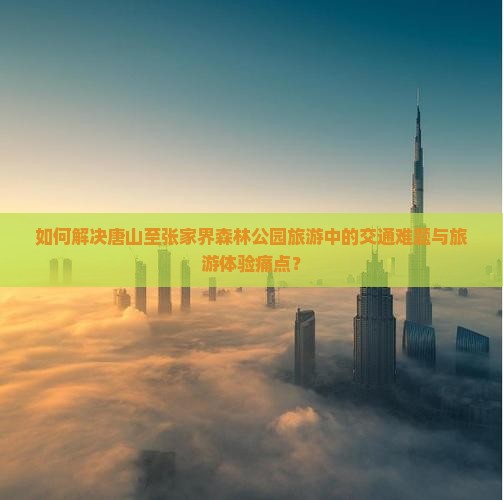 如何解决唐山至张家界森林公园旅游中的交通难题与旅游体验痛点？