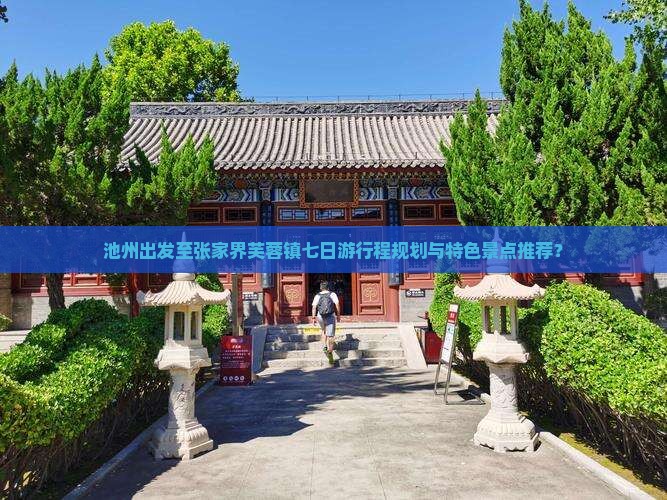 池州出发至张家界芙蓉镇七日游行程规划与特色景点推荐？