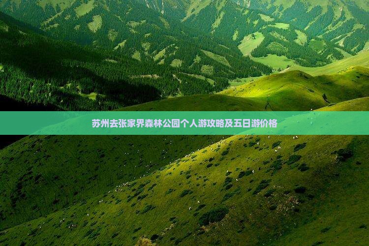 苏州去张家界森林公园个人游攻略及五日游价格