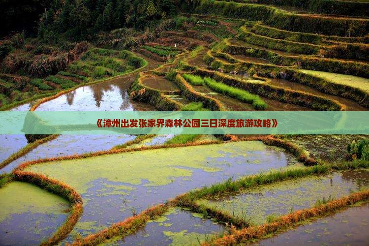 《漳州出发张家界森林公园三日深度旅游攻略》