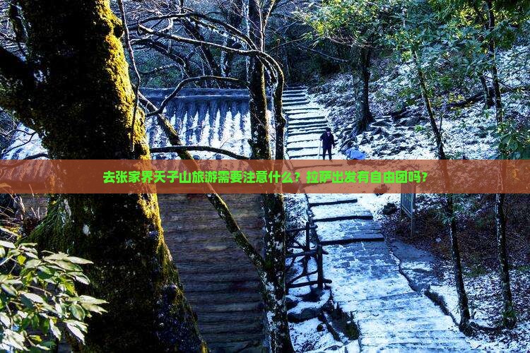 去张家界天子山旅游需要注意什么？拉萨出发有自由团吗？