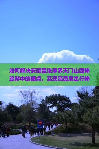 如何解决安顺至张家界天门山团体旅游中的痛点，实现高品质出行体验？