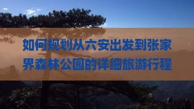 如何规划从六安出发到张家界森林公园的详细旅游行程与交通方式？