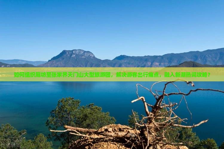 如何组织廊坊至张家界天门山大型旅游团，解决游客出行痛点，融入新潮热词攻略？