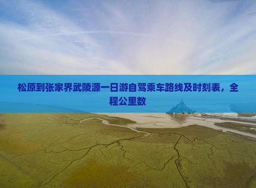 松原到张家界武陵源一日游自驾乘车路线及时刻表，全程公里数