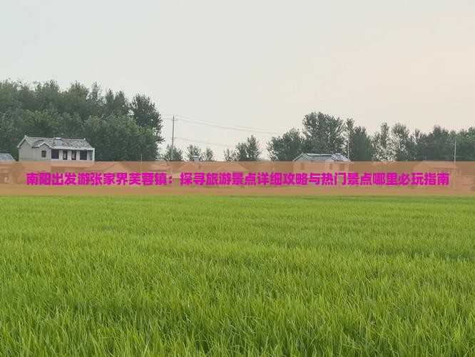 南阳出发游张家界芙蓉镇：探寻旅游景点详细攻略与热门景点哪里必玩指南