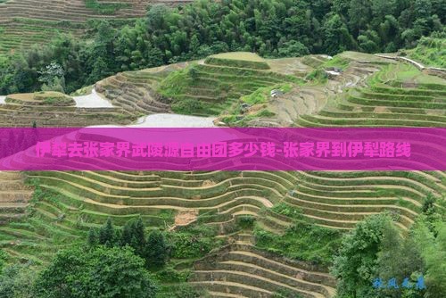 伊犁去张家界武陵源自由团多少钱-张家界到伊犁路线