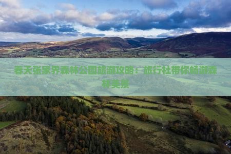 春天张家界森林公园旅游攻略：旅行社带你畅游森林美景