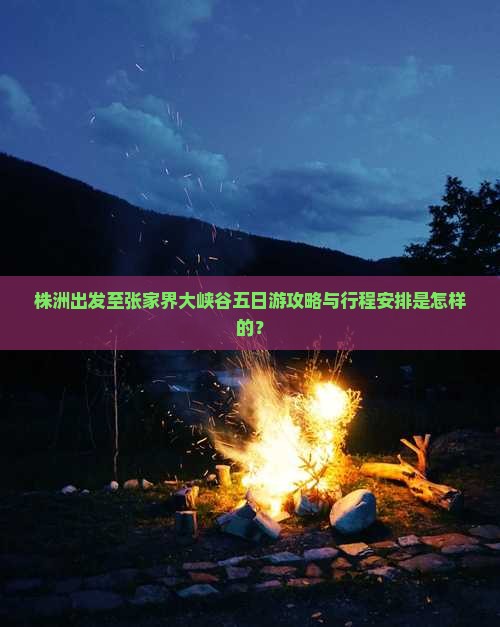 株洲出发至张家界大峡谷五日游攻略与行程安排是怎样的？