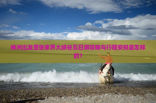 株洲出发至张家界大峡谷五日游攻略与行程安排是怎样的？