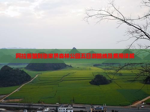 阿拉善盟到张家界森林公园五日游路线及费用详解