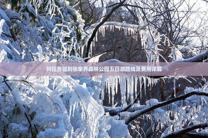 阿拉善盟到张家界森林公园五日游路线及费用详解