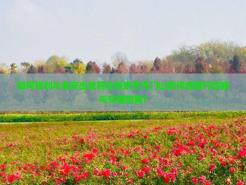 如何规划从淮安出发前往张家界天门山的详细旅行攻略与交通指南？