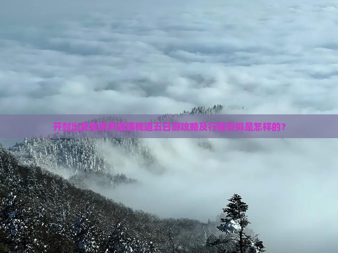 开封出发张家界玻璃栈道五日游攻略及行程安排是怎样的？
