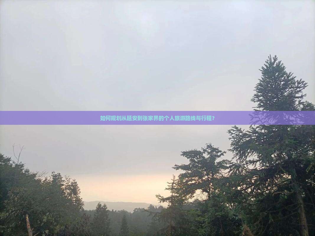 如何规划从延安到张家界的个人旅游路线与行程？