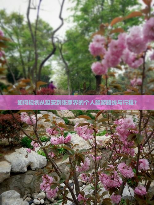 如何规划从延安到张家界的个人旅游路线与行程？