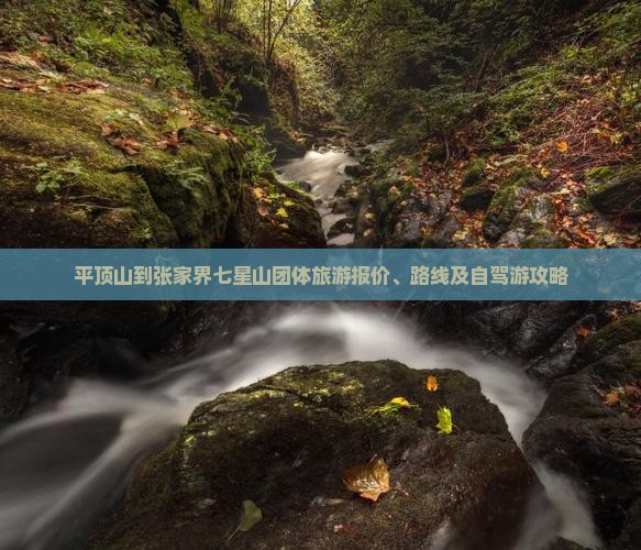 平顶山到张家界七星山团体旅游报价、路线及自驾游攻略