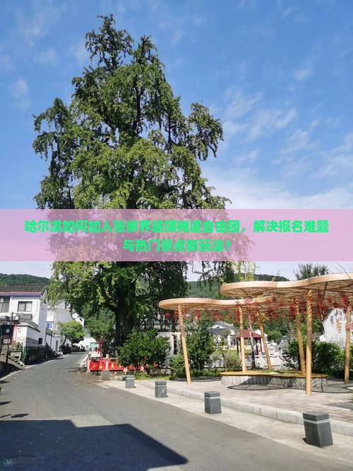 哈尔滨如何加入张家界玻璃栈道自由团，解决报名难题与热门景点新玩法？