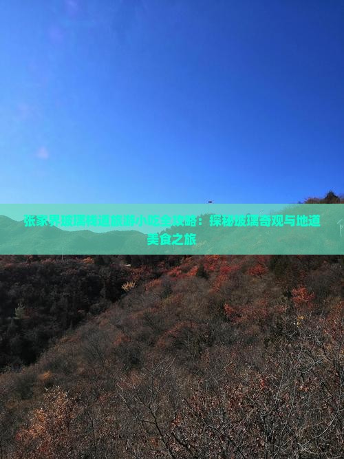 张家界玻璃栈道旅游小吃全攻略：探秘玻璃奇观与地道美食之旅