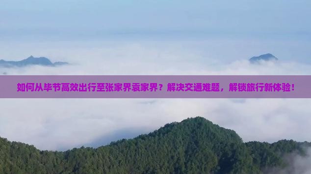 如何从毕节高效出行至张家界袁家界？解决交通难题，解锁旅行新体验！