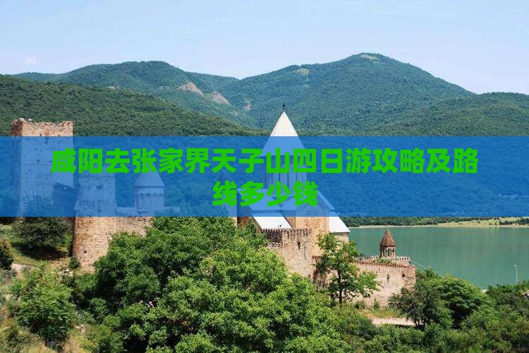 咸阳去张家界天子山四日游攻略及路线多少钱
