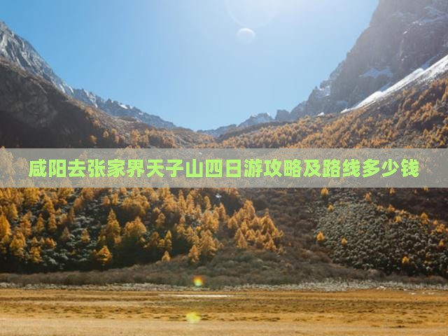 咸阳去张家界天子山四日游攻略及路线多少钱