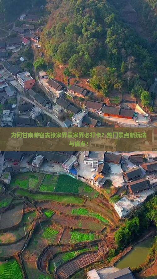为何甘南游客去张家界袁家界必打卡？热门景点新玩法与痛点！