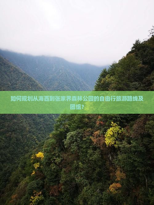 如何规划从海西到张家界森林公园的自由行旅游路线及团组？